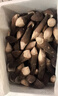 京鲜生云南新鲜黑皮鸡枞净重1斤鲜菌菇特产煲汤火锅食材源头直发 实拍图