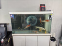 森森（SUNSUN）大型鱼缸底过滤水族箱客厅家用落地玻璃生态金鱼缸 【实时温显+灯控】珍珠白 1.2米长35cm宽 实拍图