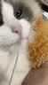 哆宠爱宠物猫咪黑下巴清洁泡沫免洗毛发护理猫狗油尾巴干洗慕斯200ml 实拍图