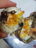 【活蟹】湖鲜阳澄 大闸蟹 去绳足重 2.0-2.3两 8只 鲜活六月黄现货超大螃蟹海鲜礼盒装 实拍图