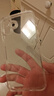品胜 适用苹果16Plus手机壳iPhone16Plus保护套简约透明 防摔抗指纹耐磨超薄超透网红软边 透明 实拍图