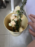 逐本清欢植萃水感卸妆油150ml眼唇卸温和敏感肌可用礼物 实拍图