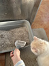 HELLOJOY猫砂铲猫咪铲屎神器猫盆猫屎铲子细小孔宠物猫沙器大号 实拍图