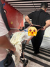 丸丫T2-2旅行家遛娃神器轻便婴儿推车可折叠登飞机火车儿童口袋推车 【T2-2旅行家】千禧粉 实拍图