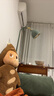 宜家（IKEA）RODFLIK洛德弗利落地阅读灯装饰灯沙氛围灯卧室照明家用 灰绿落地灯+E27灯泡1055流明 调光遥控器另购 实拍图