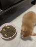 麦富迪猫粮 barf霸弗天然猫粮冻干生骨肉高蛋白成猫粮养胃增肌牛肉5.4kg 实拍图