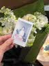 INSTAX富士instax立拍立得 mini相纸 白边双包20张(适用miniSE/11/12/40/90/LiPlay/EVO/Link3) 实拍图