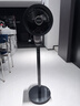 艾美特（AIRMATE）【旗舰金天鹅】空气循环扇语音智能遥控电风扇直流变频家用安静轻音一级能效落地扇负离子净化电扇 实拍图