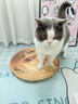HELLOJOY猫抓板贴墙立式墙贴瓦楞纸耐抓耐磨不掉屑防猫抓垫沙发保护磨爪贴 实拍图