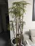 花财主大型盆栽绿植 柠檬树鸭脚木发财树天堂鸟绿植室内客厅大盆栽 南天竹-1.5-1.8米【圆球盆】 不含盆 实拍图