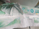 帮宝适夏季超薄超吸新清新帮纸尿裤XL38透气新生儿婴儿尿不湿尿布 实拍图