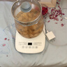 九阳（Joyoung） 养生壶1.5L茶具电茶壶煮茶壶花茶壶玻璃煮茶器煎药壶中药锅药膳电水壶烧水壶 DGD1506BQ【超高性价比断货款】 1.5L 实拍图