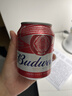 百威啤酒mini红罐淡色拉格255ml*24小罐整箱装京东自营喜酒踏春送礼 实拍图