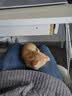 舒腾中华田园小猫咪活体田园猫宠物家养猫咪橘猫幼猫活体土猫狸花猫咪 田园级 橘猫 公（幼猫两个月左右） 实拍图