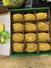 佳沛（zespri）新西兰 阳光金奇异果12粒特大果单果124-146g 猕猴桃水果礼盒 实拍图