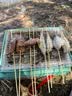 佳茉烧烤签子商用竹签一次性钵钵鸡烤串烤肠关东煮冰糖葫芦棉花糖木签 实拍图