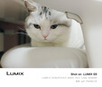 松下S9（18-40mm F4.5-6.3）套机 （Panasonic）全画幅微单 实时Lut 滤镜直出 连接app极速分享-炫黑 实拍图