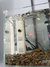 森森鱼缸过滤器三合一内置小型水族箱过滤系统增氧泵XQP-1000F 15W 实拍图