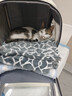 网易严选全价猫粮冻干鲜鸡肉无谷全价冻干双拼猫粮3.0升级500g试用装 实拍图