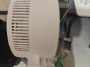 艾美特（AIRMATE）【小暴风PRO】空气循环扇家用大风力摇头电风扇卧室安静轻音小风扇桌面台式节能落地扇电扇 X231 实拍图