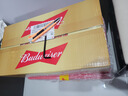 百威（Budweiser）经典纯生淡色拉格啤酒 500ml*18听整箱装 踏春送礼 实拍图