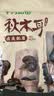 十月稻田东北秋木耳 500g 黑木耳 干木耳 肉厚无根 火锅煲汤食材 实拍图