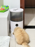 pidan猫砂 纯豆腐猫砂2.4kg*6包强力吸臭不易带出 可冲厕所非膨润土砂 实拍图