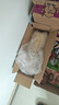 湾琴河面条 手擀面1500g 手工面条挂面刀削面广东竹升面非油炸面 实拍图