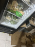 星星展示柜冷藏保鲜柜冷藏柜展示柜立式冰柜商用酒柜饮料冷柜风冷除霜单门便利店留样柜LSC-315H 实拍图