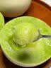 花农氏上海南汇玉菇甜瓜【顺丰速发】冰淇淋甜瓜软糯清甜新鲜水果送礼 4-4.5斤 精选果【2个装】 晒单实拍图