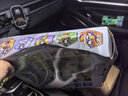 Creative art指甲刀套装工具18件全套德修脚刀指甲剪鹰嘴钳修甲沟炎国不锈钢 实拍图
