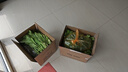南方黑芝麻黑芝麻糊1000g/袋 营养早餐丨膳食纤维丨入口醇香丨零食丨食品 实拍图