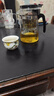 飘逸壶泡茶壶耐热高温玻璃沏茶过滤内胆冲茶器家用茶具套装 飘逸杯500mL1个 实拍图