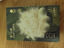 babycare山茶花夏季轻薄款一次性内裤女孕妇产后出差旅行女士免洗 M码 4条 实拍图