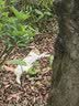 京东京造 户外野餐垫公园帐篷防潮垫露营垫超声波可机洗地垫繁花200*200cm 实拍图