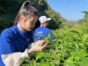 蓝之旺 T恤定制工作服印字logo夏季短袖男公司文化衫班服订做团建衣服 A款正肩白色 【26支全棉180g】 L 实拍图