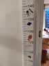 墨斗鱼儿童身高测量墙贴透明身高尺身高记录身高测量尺2米 实拍图