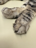 pidan猫砂 纯豆腐猫砂2.4kg*4包强力吸臭不易带出 可冲厕所非膨润土砂 实拍图
