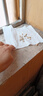 鼠道难捕鼠笼捕鼠神器家用捕鼠器驱抓老鼠笼防灭鼠器除扑鼠器送诱饵5包 实拍图