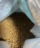 力狼（LILANG）鲜肉猫粮深海三文鱼磷虾成猫幼猫通用型美毛护胃全价猫粮2kg 实拍图