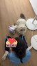 索迪六一礼物AI智能机器人遥控汽车机器狗猫婴幼儿童宝宝玩具女孩生日 实拍图