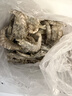 东上御品虾 青岛大虾基围虾鲜活青虾白虾海虾对虾冰虾冻虾生鲜 虾类 海鲜 6.6斤(净重)  盐冻大虾【两盒更划算】 17-21cm【特大虾皇】 实拍图