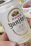 燕京啤酒 特制10度白听330ml*24听 新老包装交替发 春日热卖 实拍图