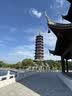艾薇凉席双面藤席夏季 家用凉席双人 三件套 梦想 1.8米【可折叠】 实拍图