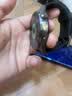 HUAWEI WATCH GT 6 雅丹黑 46mm智能手表多维情绪健康全新骑行体验21天超长续航华为GT6手表 实拍图