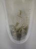 京东京造鲜来多2026新茶信阳毛尖明前特级125g*2 绿茶茶叶自己喝送礼地标 实拍图