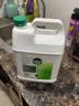 滴露（Dettol）消毒液5L大桶装消毒水家用商用工业车间酒店物业衣物环境消毒杀菌 实拍图