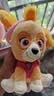 汪汪队立大功（PAW PATROL）毛绒玩具狗狗玩偶经典款天天小号坐姿公仔男女孩六一儿童节礼物 实拍图