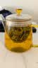 雅集茶具泡茶壶容量耐热透明玻璃茶壶茶水分离家用办公室泡茶壶750ml 实拍图