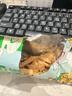 【超大袋】山药薄片脆片33g薯片网红休闲小吃袋装薯片 【*超值】-1大包【番茄/海苔/鸡翅/烧烤】 实拍图